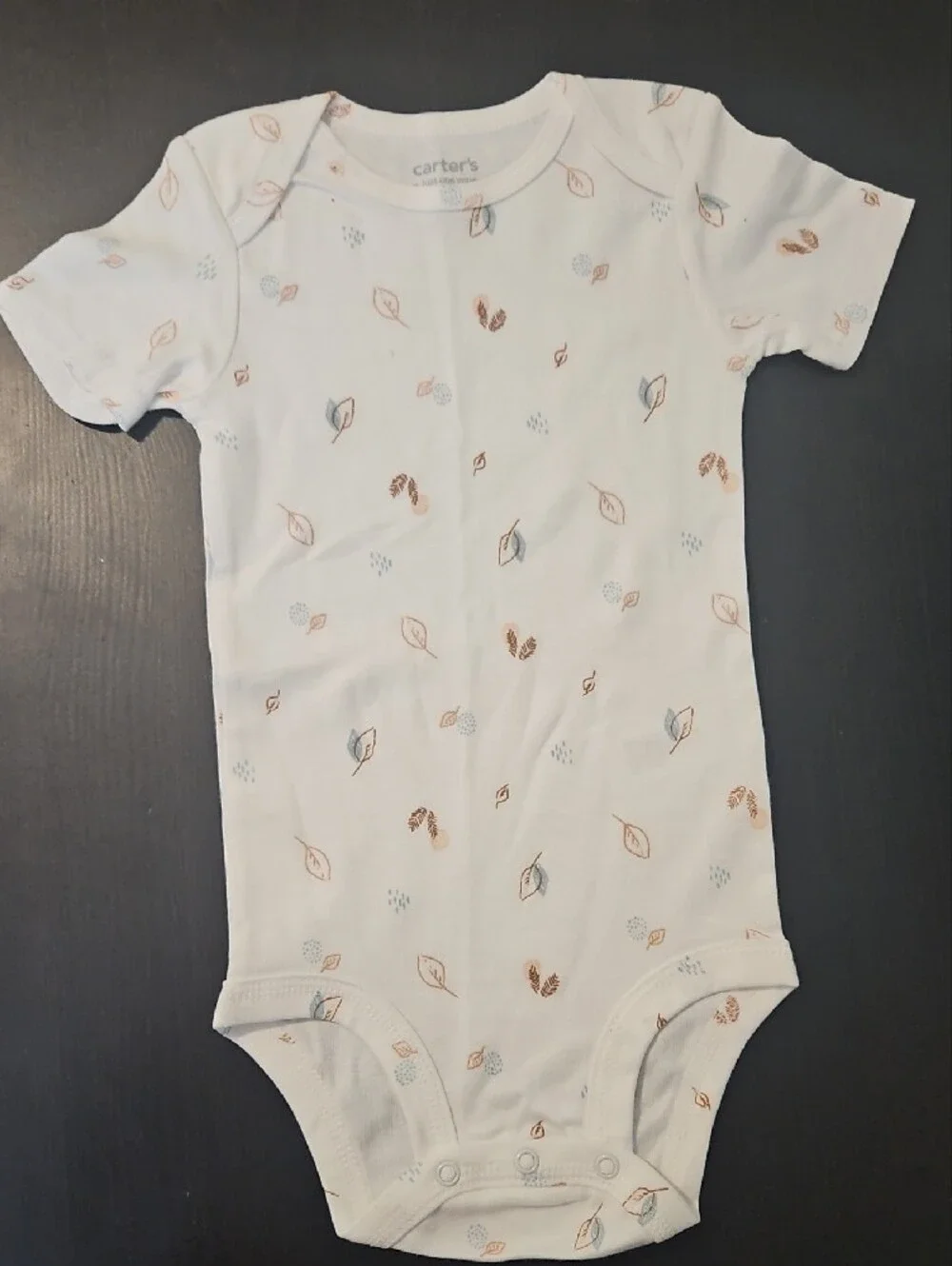 Carter's Brown, Cream, White & Blue Short-Sleeve Bodysuit Set